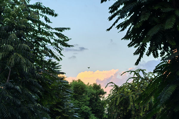 2025年全球阀门行业技术发展综述